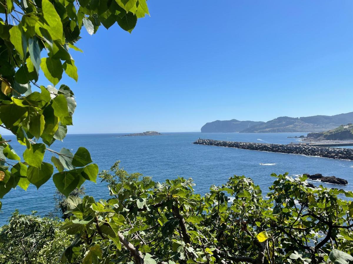 贝梅奥Bertoko Urdaibai III公寓 外观 照片